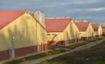 «Свинокомплекс на 150 тыс. товарных свиней в год» в Саратовской области